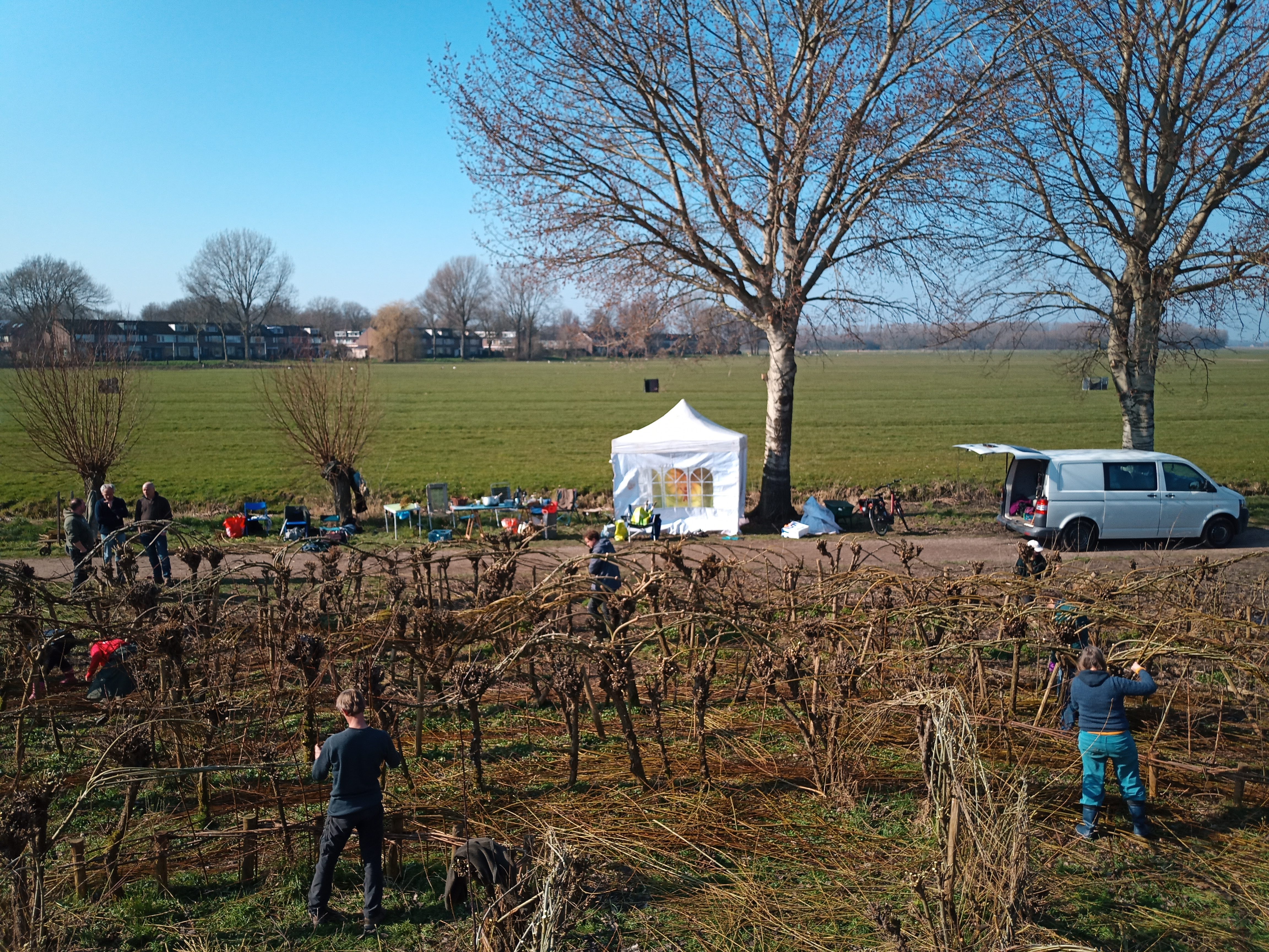 Wilgenlabyrinth workshop