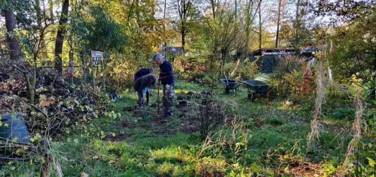 Planting trees