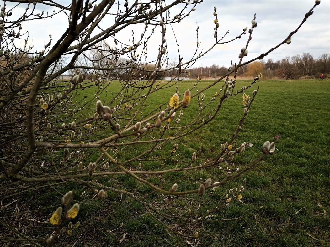 IMG 20210307 150311-2