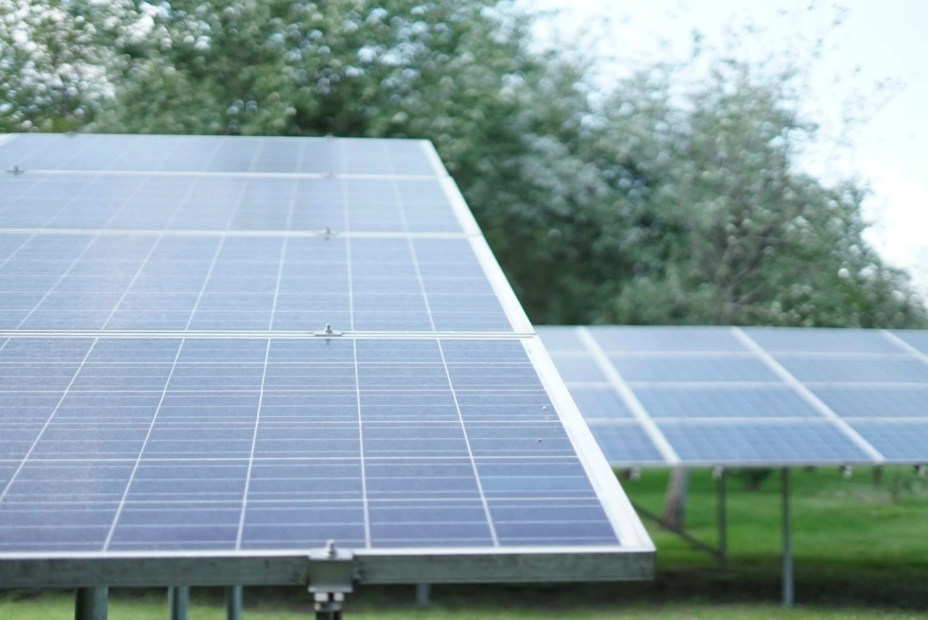 Zonnepanelen in een weiland