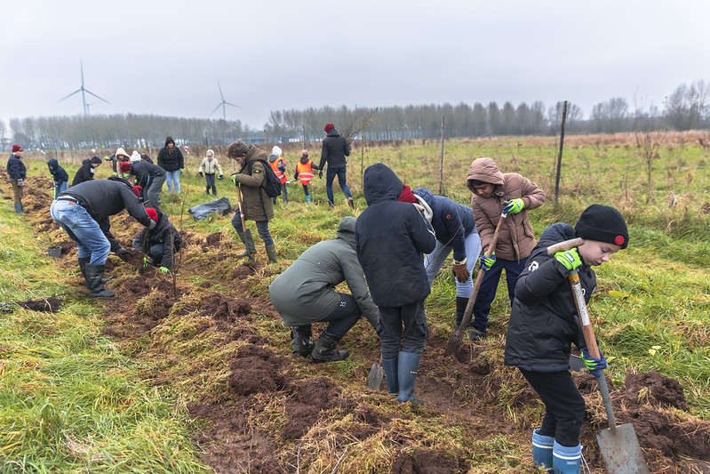 Leerlingen van de Engelense Jenaplanschool planten op 13 december 2024 zo'n 1.500 boompjes