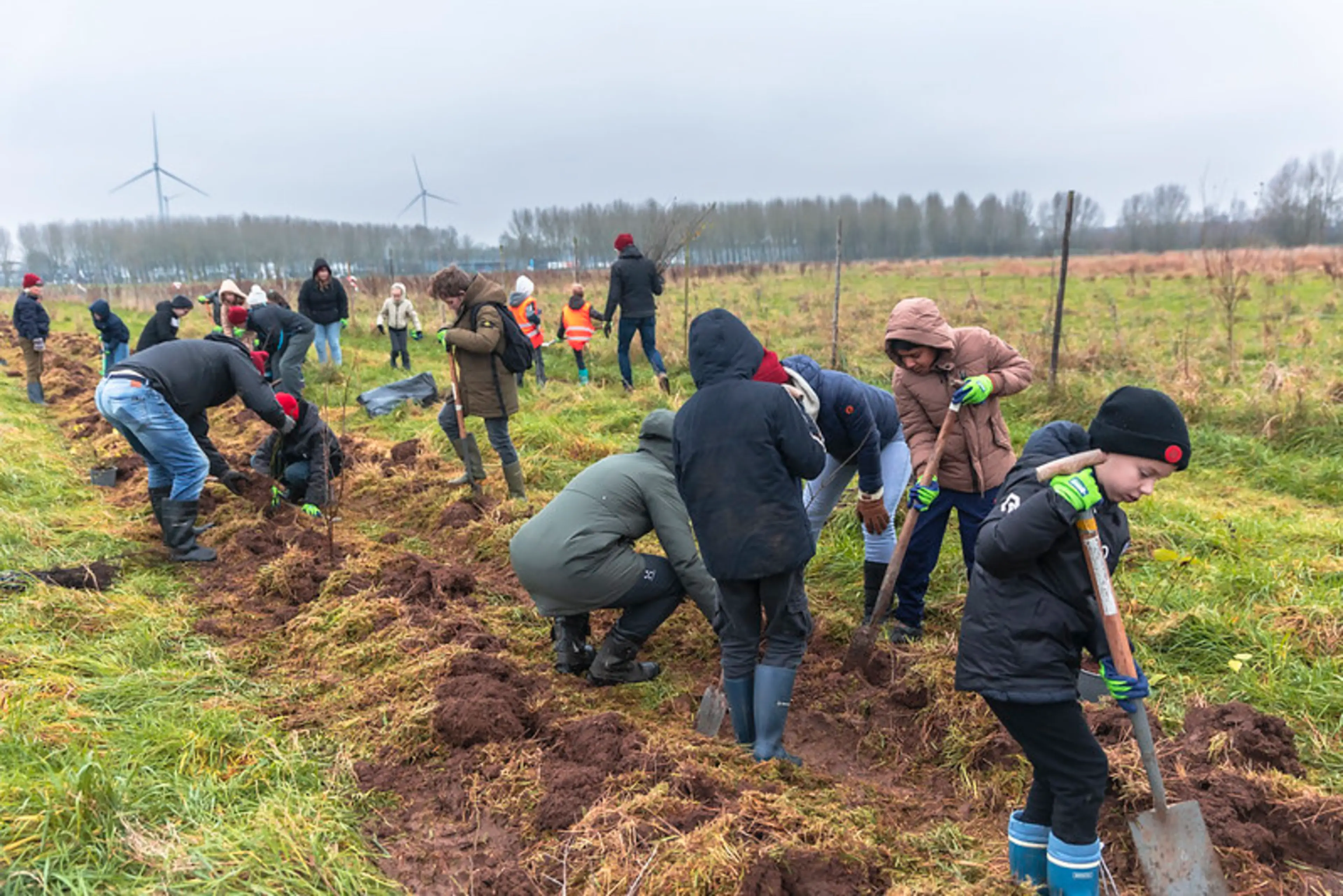 Leerlingen van de Engelense Jenaplanschool planten op 13 december 2024 zo'n 1.500 boompjes