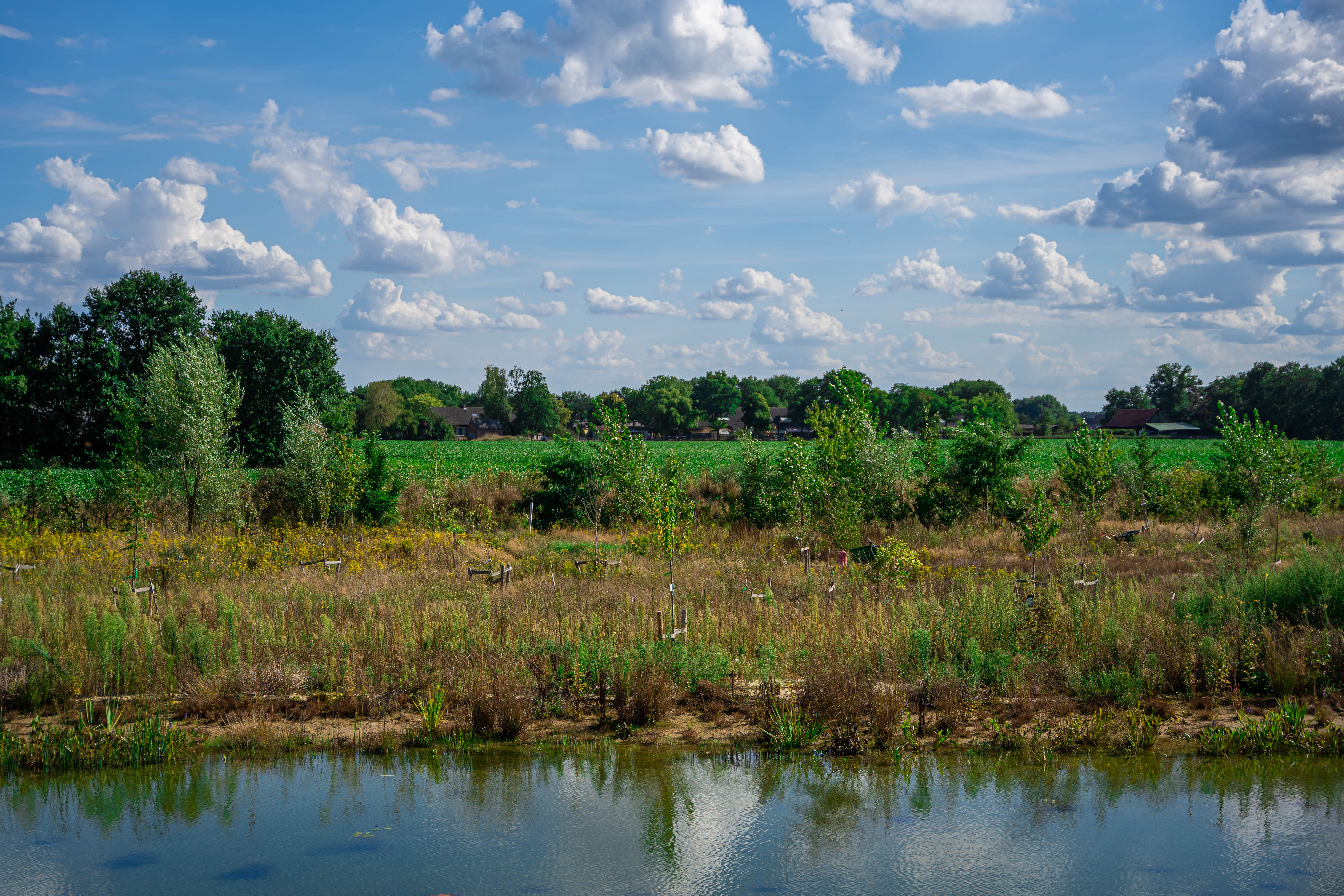 Het Mortelke Akker Lente 2023