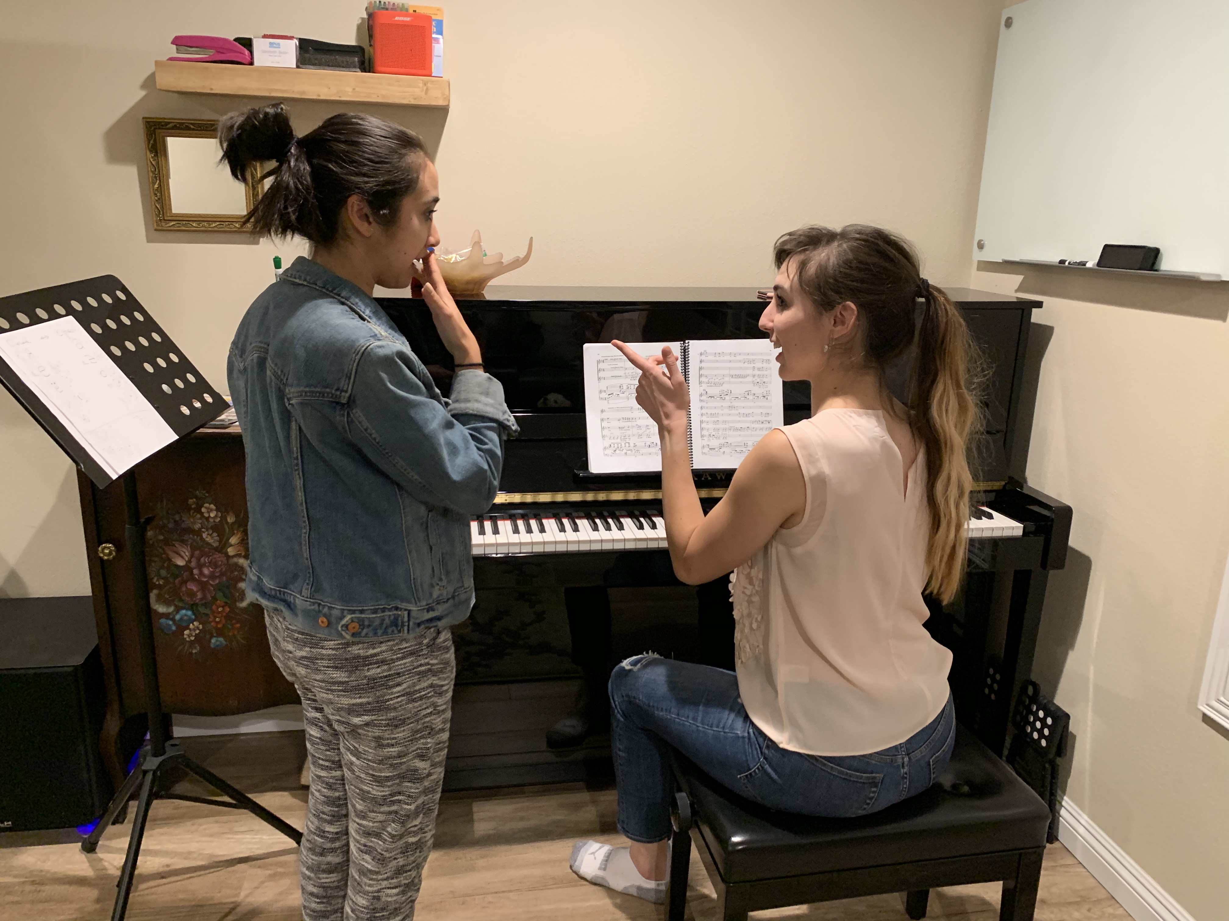 Teaching a Voice Lesson