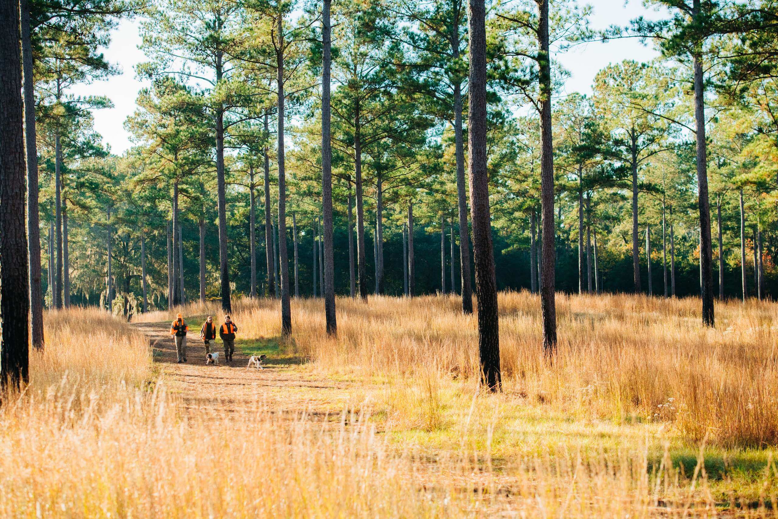 Life Outdoors Banner