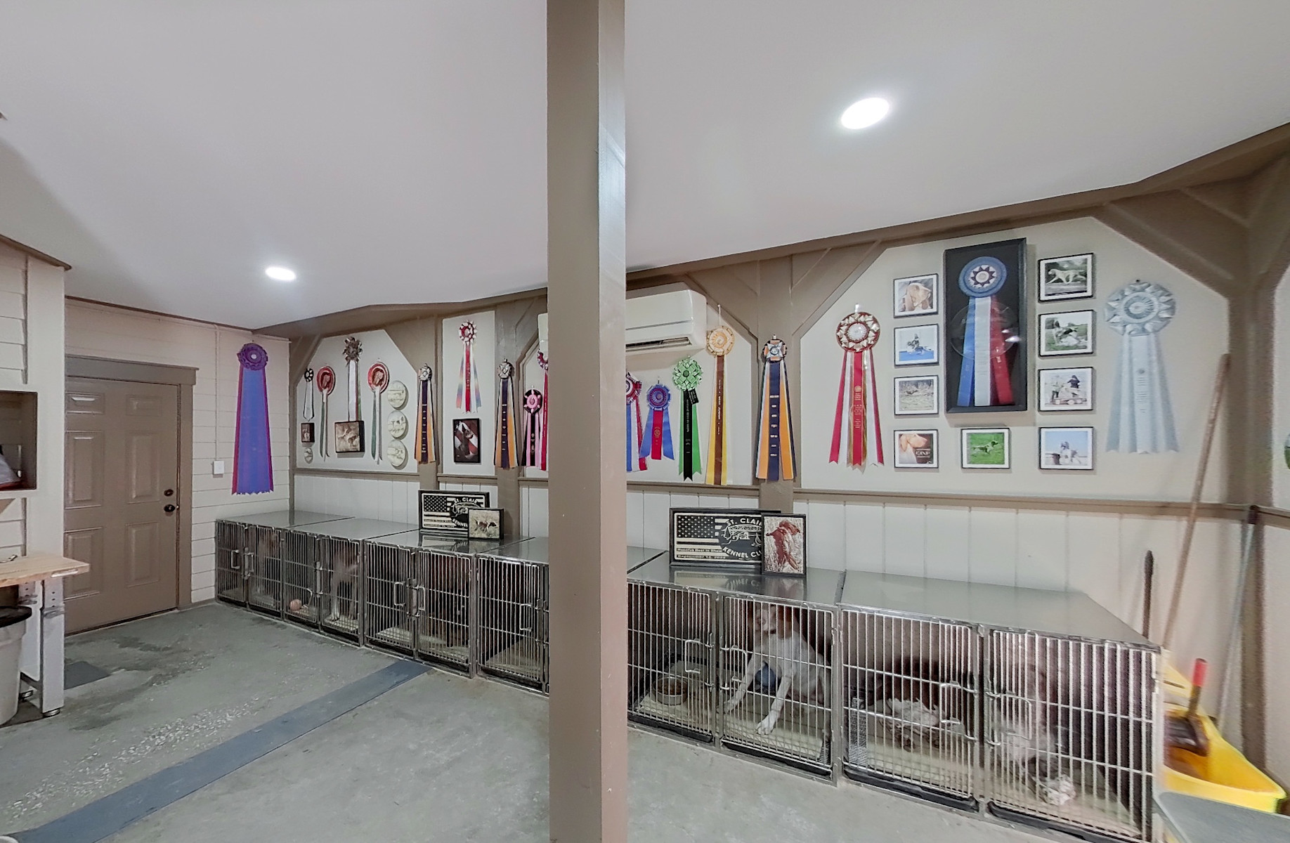 dog room1