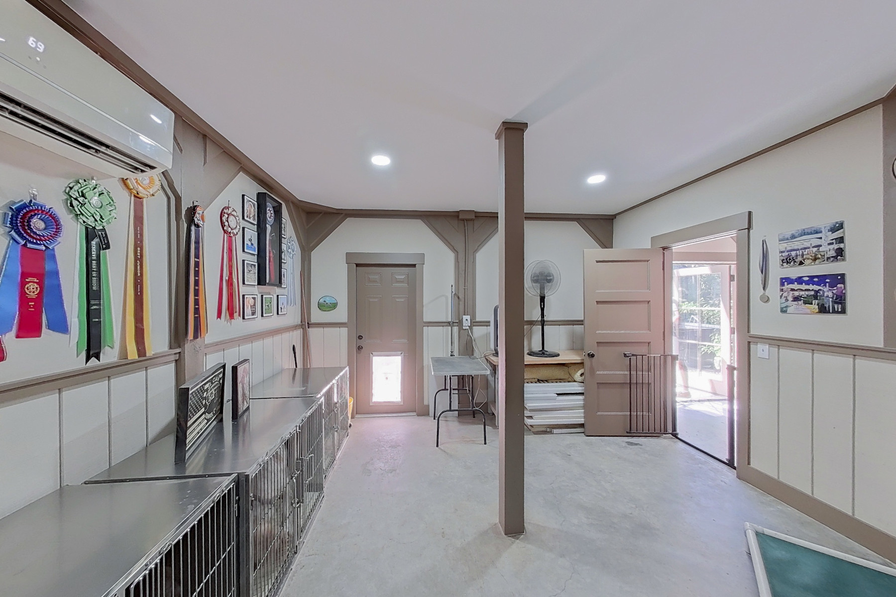 dog room2
