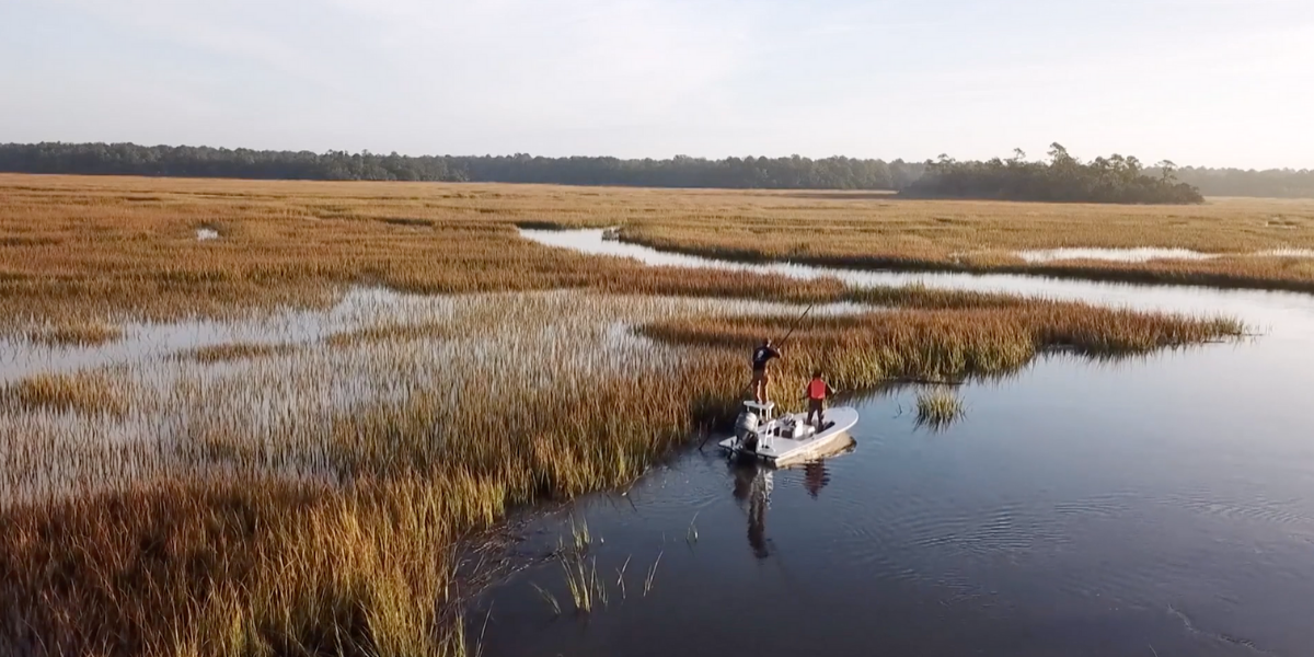 Join in on a Brays Island Rail Bird and Quail Hunt with Under Wild Skies