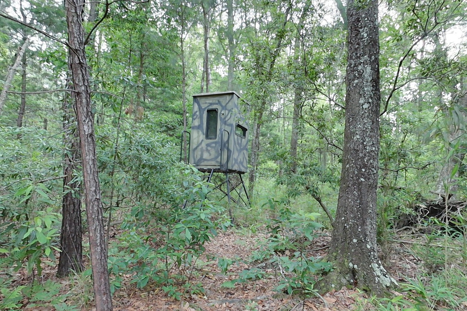 img 004 (8) deer stand