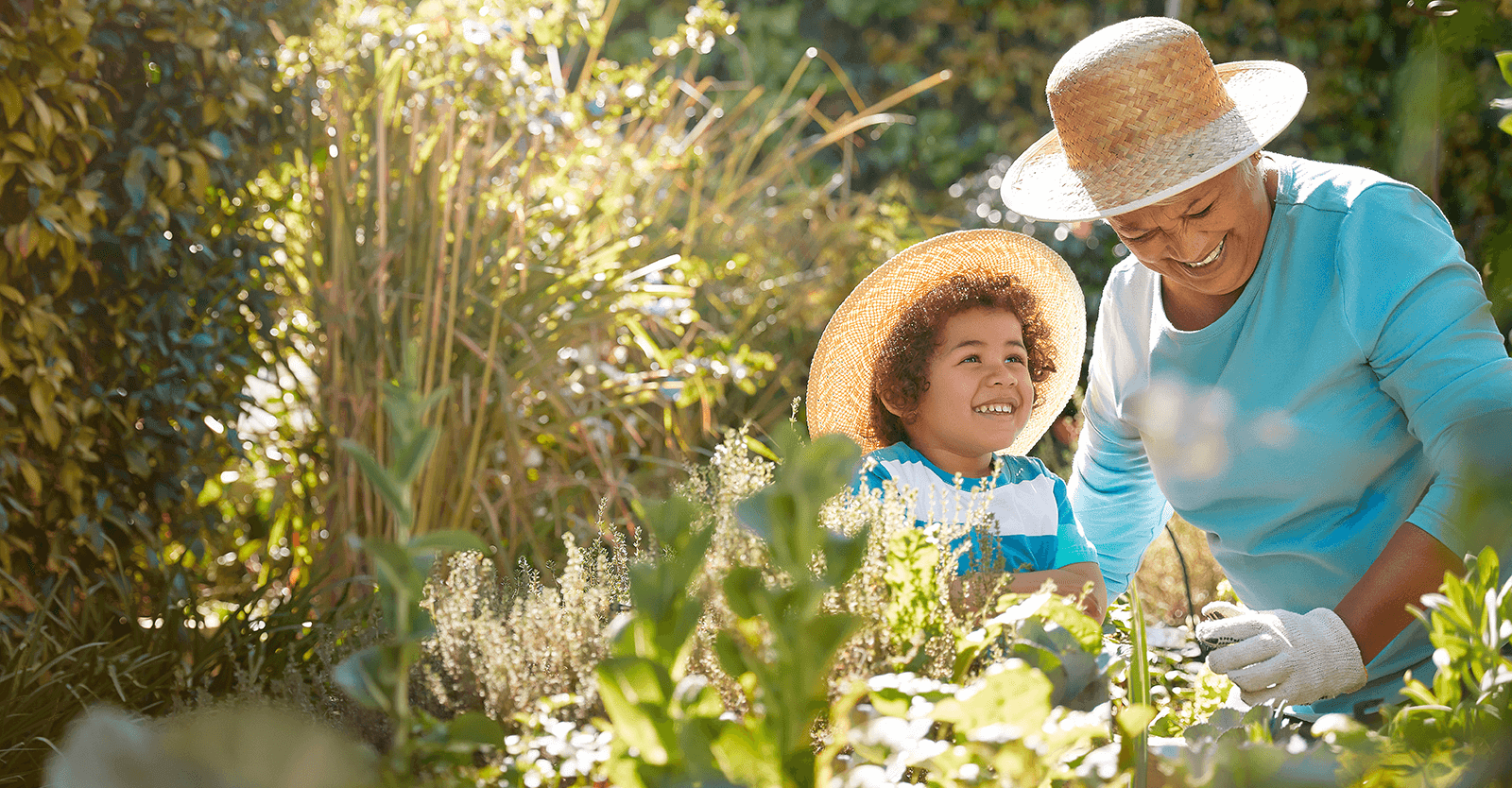 A grandmother and young grandchild wearing straw hats sit together among tall plants in a garden.