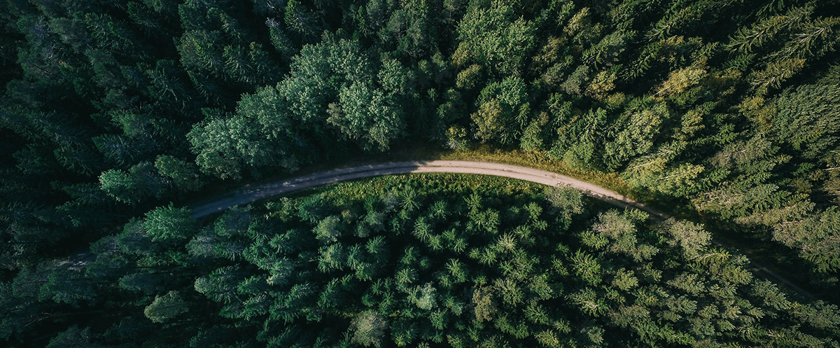 Aerial view of a dirt road winding through a lush, green forest.