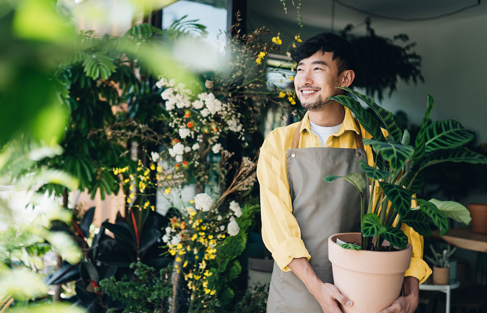 A young man in a smock holds a potted plant in a store.
