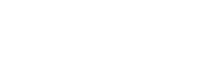Black Semiconductor
