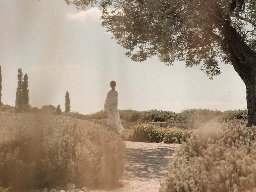 Olive trees in the gardens of Amanzoe in Greece