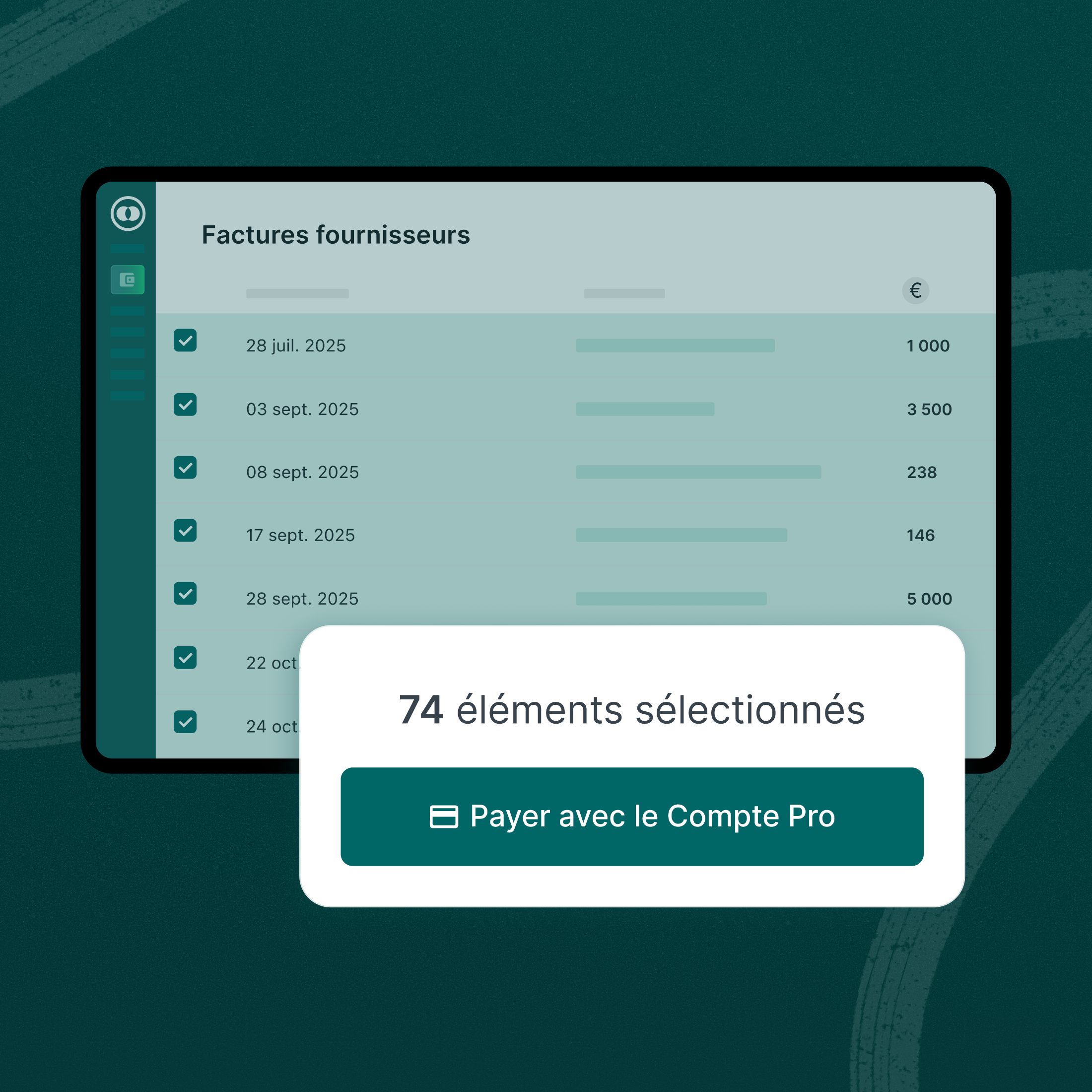 Page Compte Pro Payer