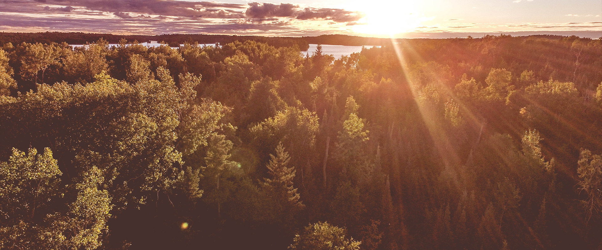 Naturbild med vy över skog och vatten i varmt motljus.