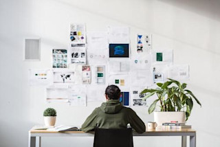 How social proof helps Looka shine as a new brand in a new industry Trustpilot x Looka Case Study