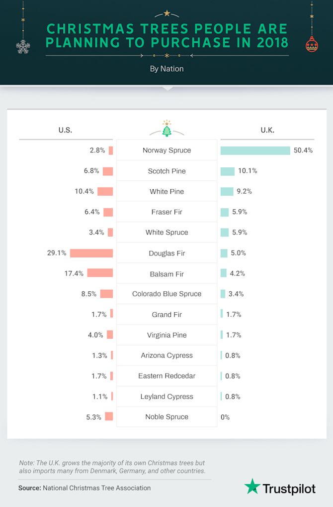 Trustpilot-Christmas-survey-asset01D Trustpilot-Christmas-survey-asset01D