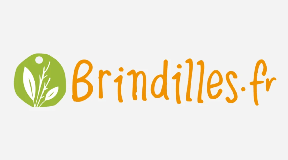 brindilles-fr-logo-grey-background-case-study