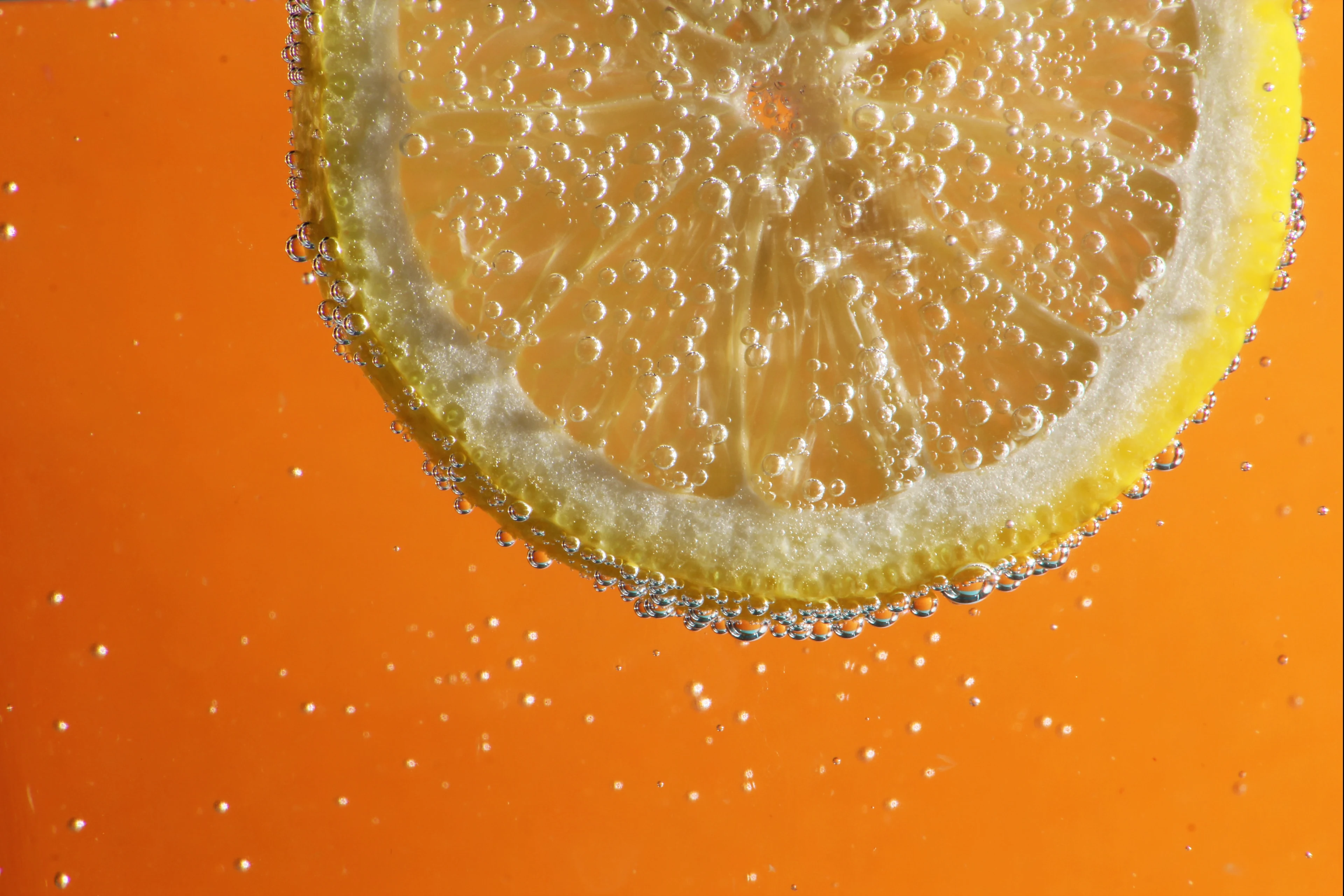 Orange slice in sparkling water