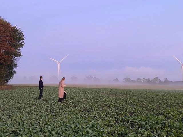 picnic date experience