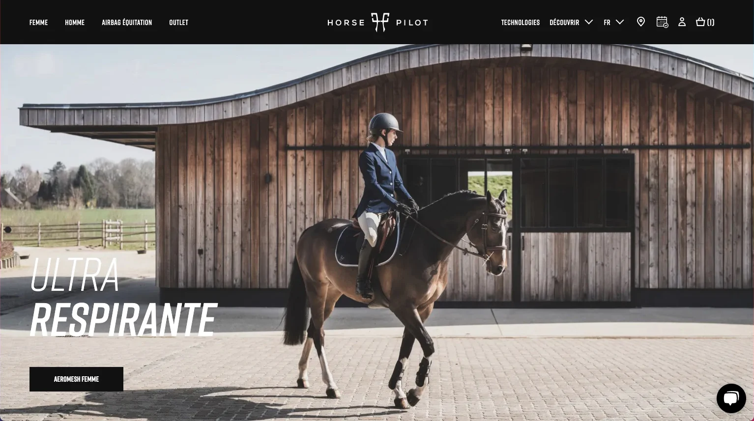 Homepage Horse Pilot