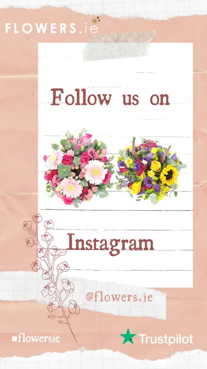 Flowers.ie reviews social media ads