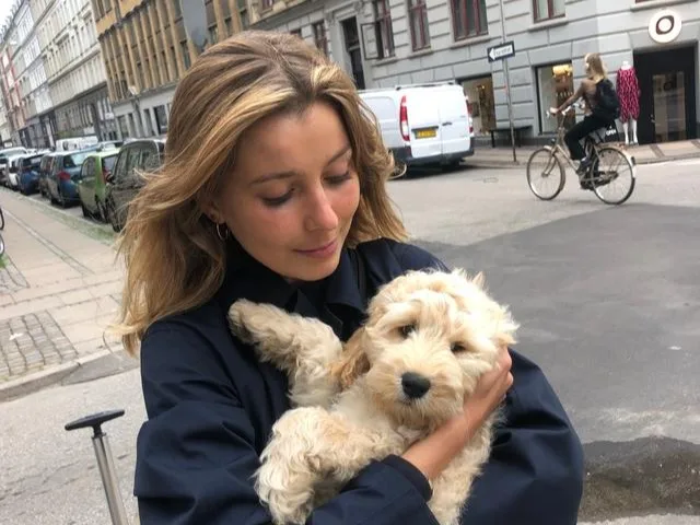 A woman holding a puppy Your new dog checklist