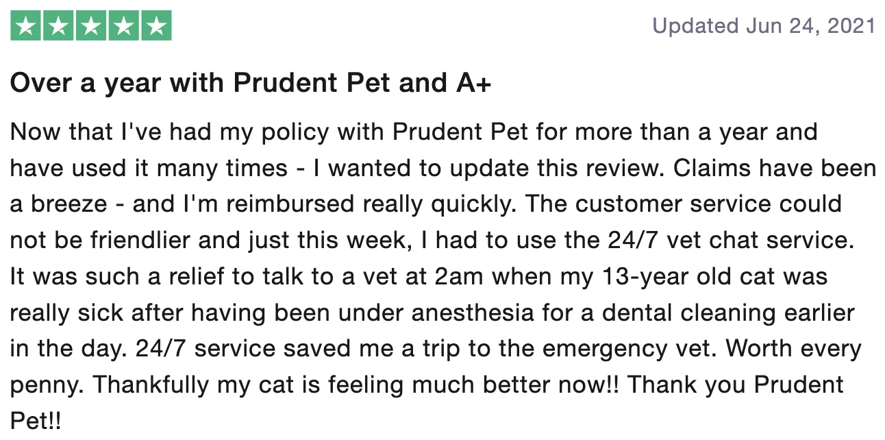 Review of Prudent Pet Insurance