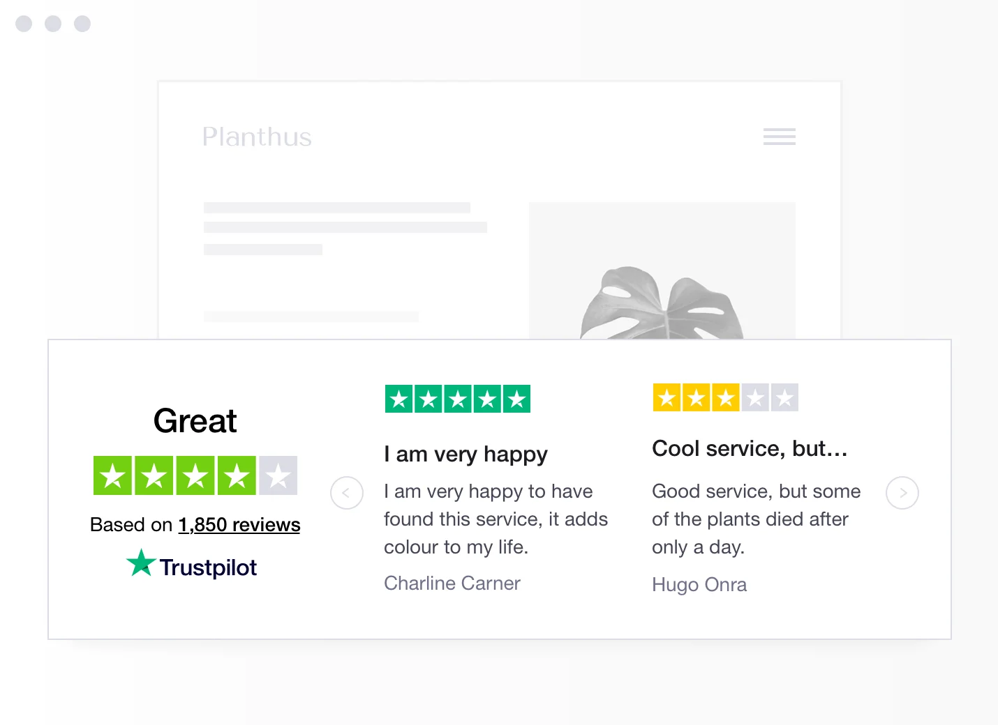 Example of A Trustpilot Review