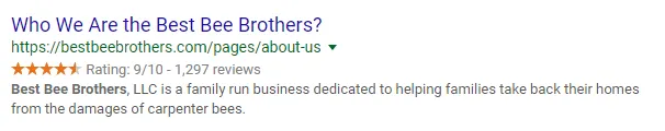 Best Bee Brothers in den Google-Suchergebnissen