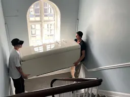 New kitten checklist — Here's everything you need for your tiny feline