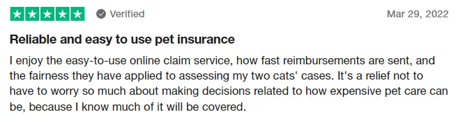 Pumpkin pet insurance review