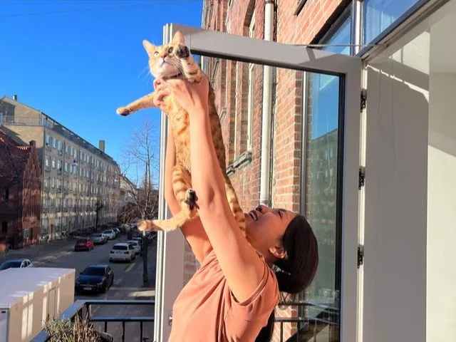 New kitten checklist