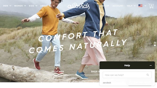 Allbirds Live Chat example frontpage Allbirds Live Chat