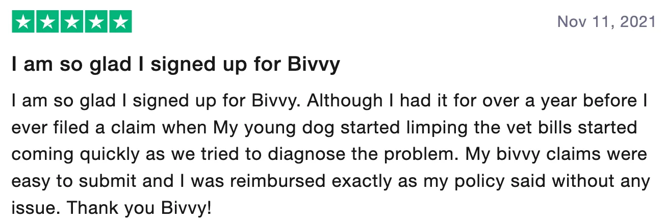 Review of Bivvy Pet Insurance