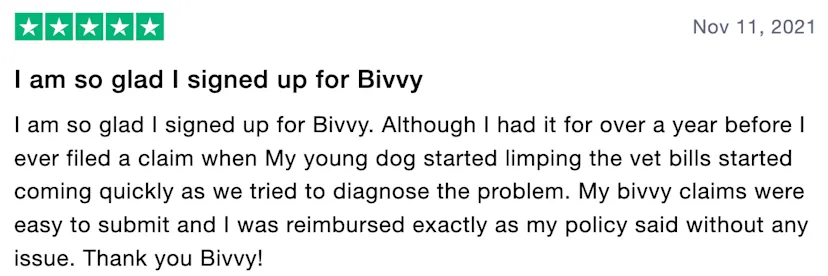 What Does Bivvy Pet Insurance Cover What does pet insurance cover and is it worth it? - Trustpilot Blog