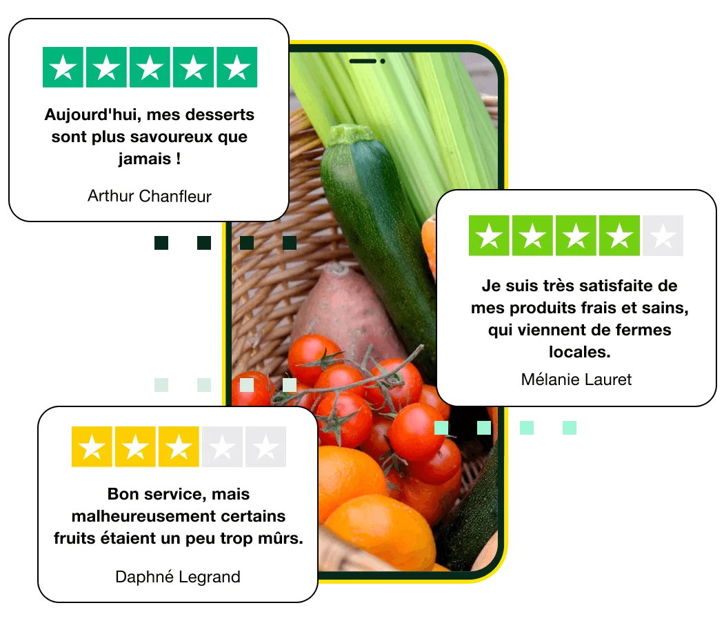 3-Create a custom review display - Trustpilot widgets page - French