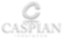 Caspian Insurance Logo - transparent background