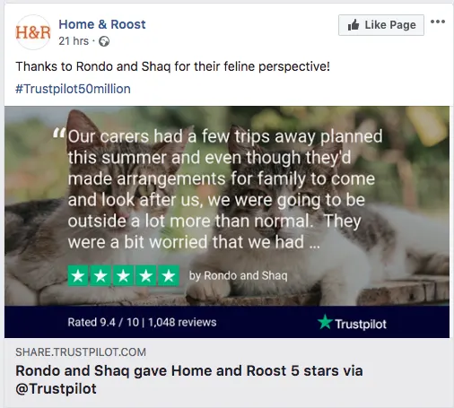 Home and Roost trustpilot review