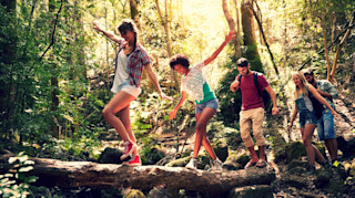 Walking in the woods