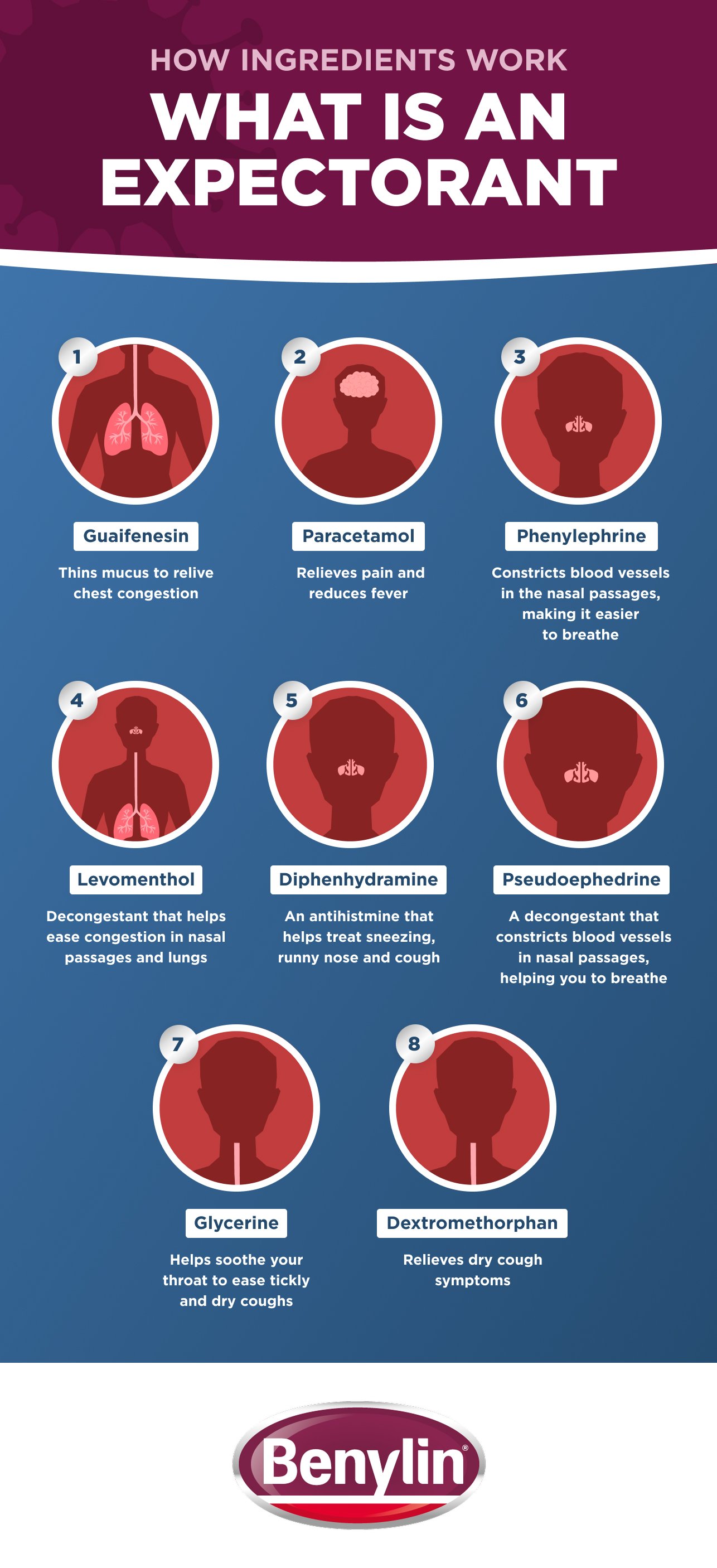 A Guide to BENYLIN® Ingredients