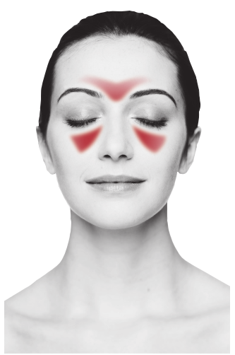 SUDAFED® Sinus Max Strength Capsules