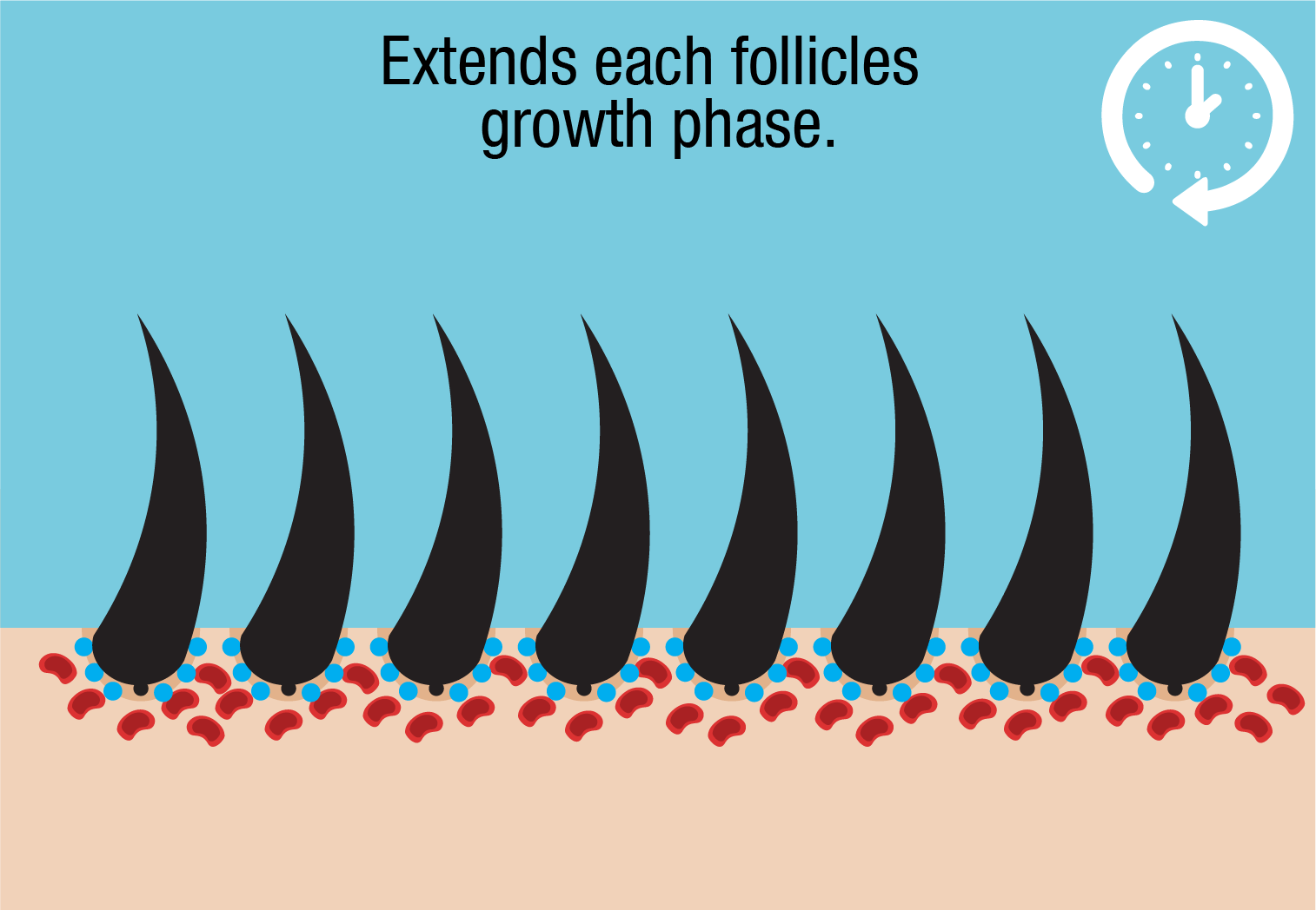 growth phase extended