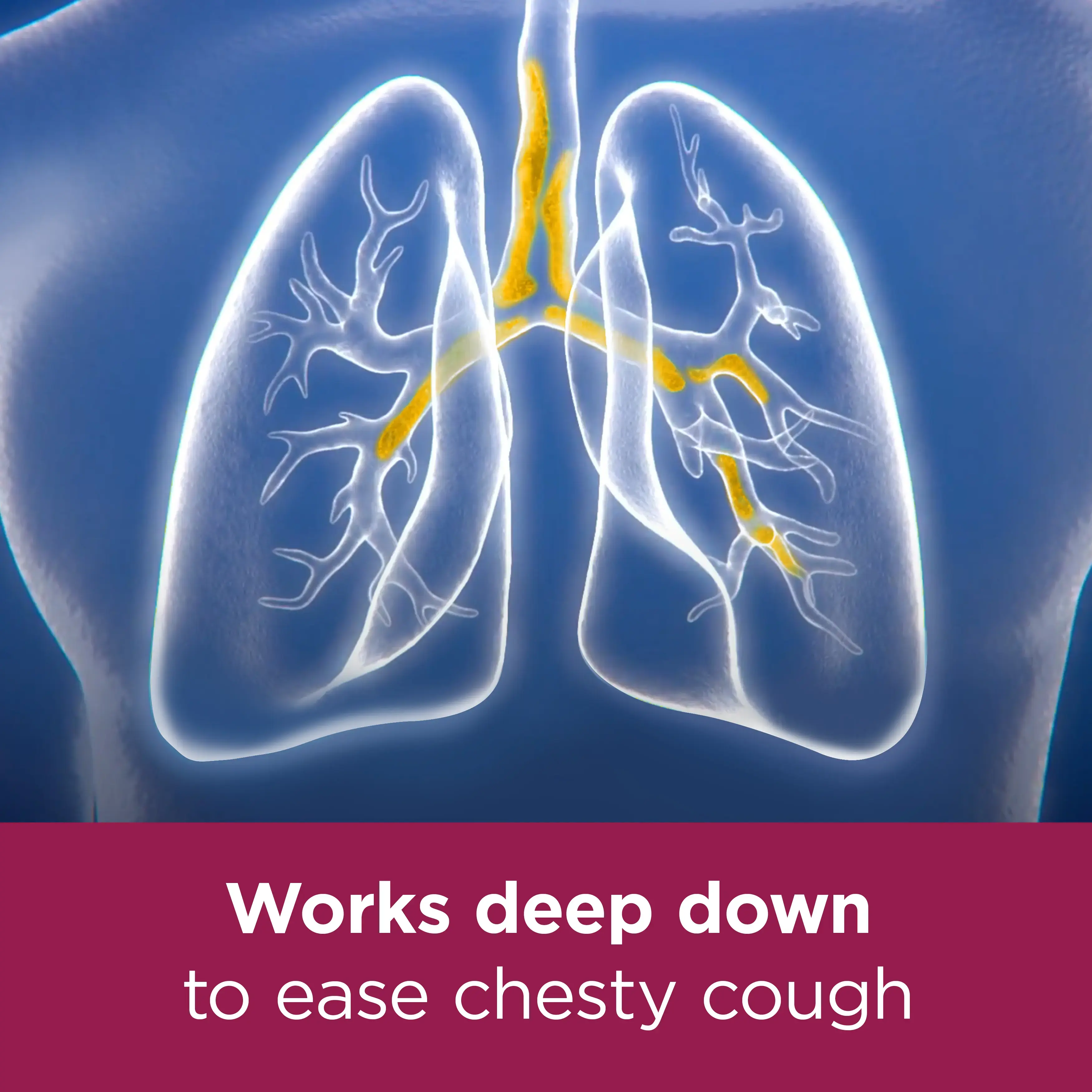 Image showing a drawing of lungs with the caption: Works deepdown to ease chesty cough