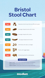 An Overview Of The Bristol Stool Chart