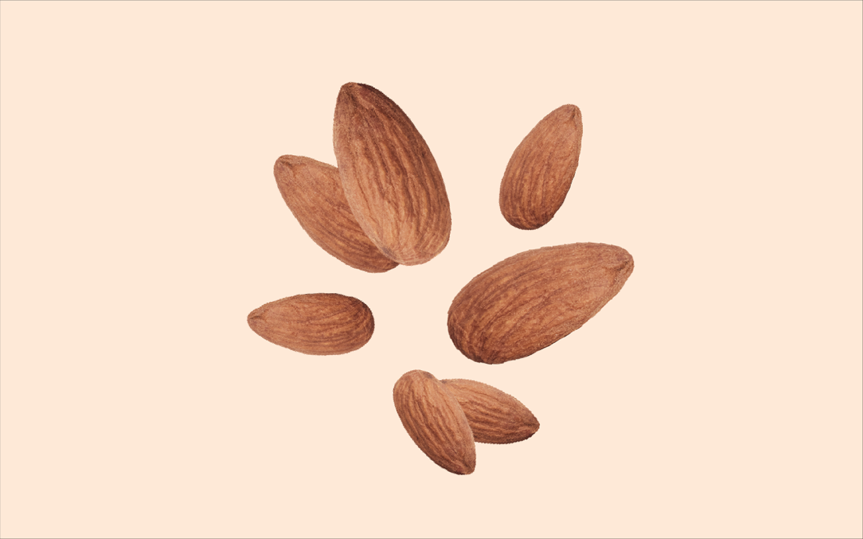 1280x800 almonds