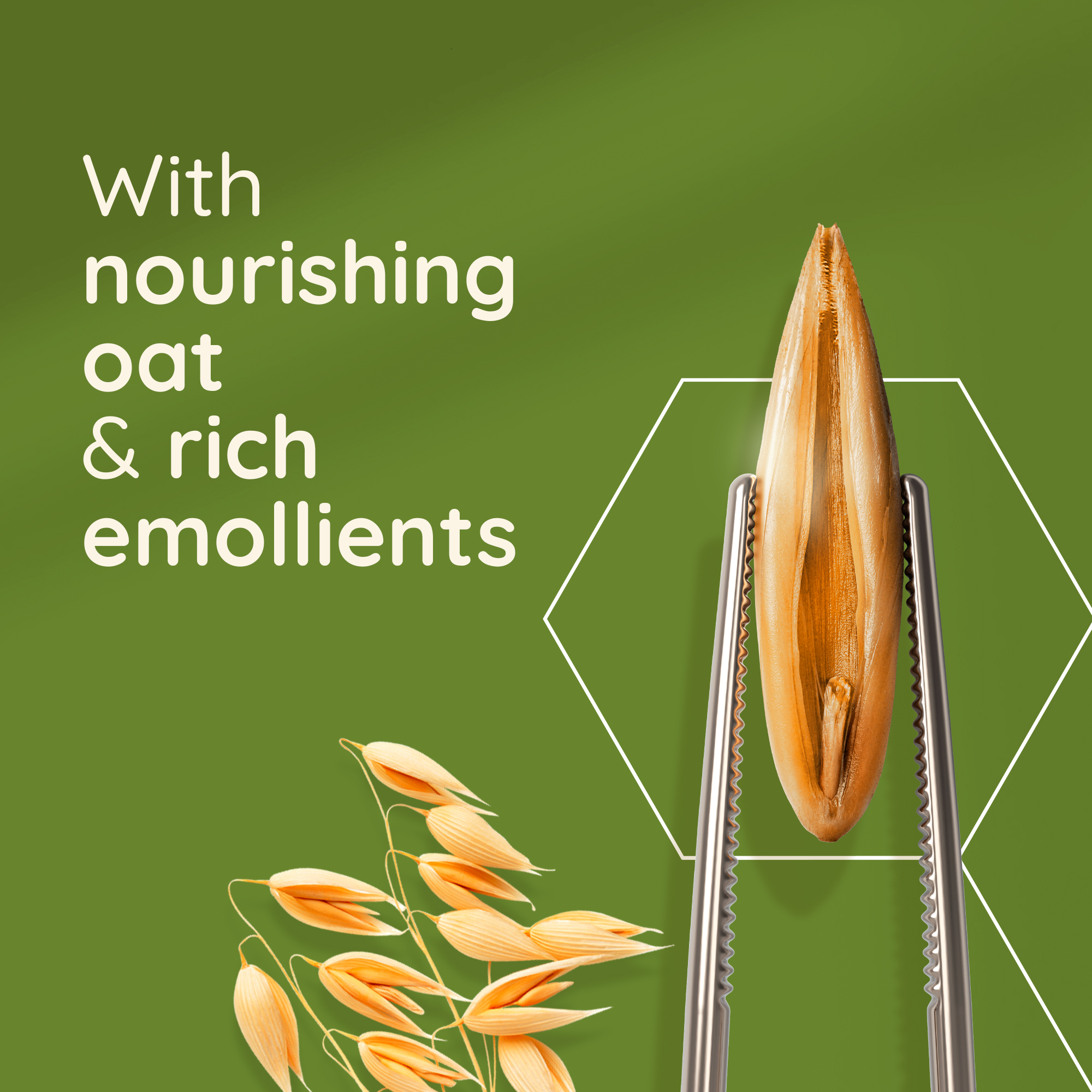 with nourishing oat