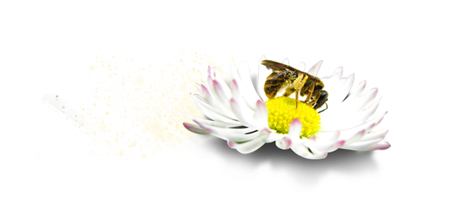 Allergy or cold symptoms