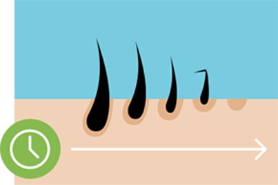 Scalp with an average amount of hair showing the causes of hair loss.